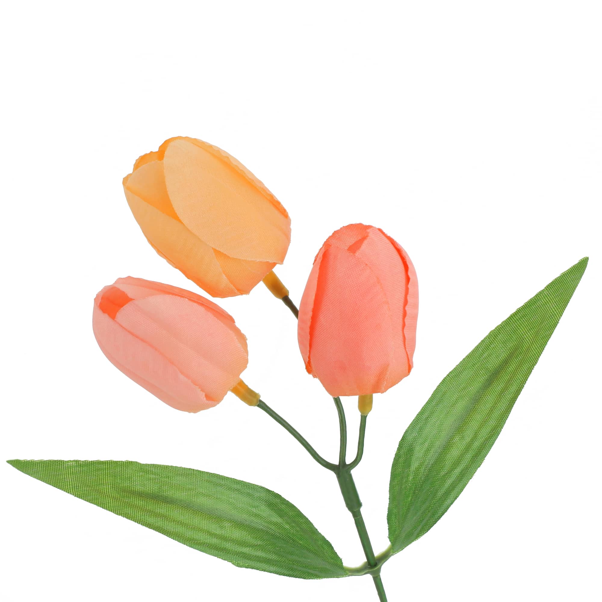 216 Pack: 14" Tulip Bush by Ashland